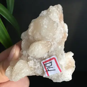 Naturlig Krystal Apophyllite Zeolit-Mineral Prøver Arrangeret Hjem Dekorative StoneCollection